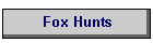 Fox Hunts